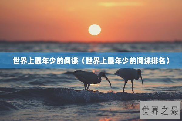 世界上最年少的间谍（世界上最年少的间谍排名）