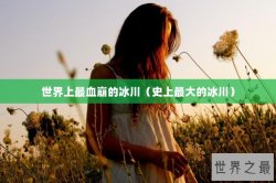 世界上最血崩的冰川（史上最大的冰川）