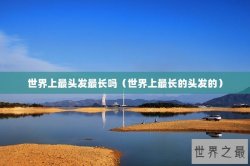 世界上最头发最长吗（世界上最长的头发的）