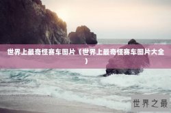 世界上最奇怪赛车图片（世界上最奇怪赛车图片大全）