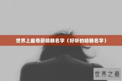 世界上最奇葩暗器名字（好听的暗器名字）
