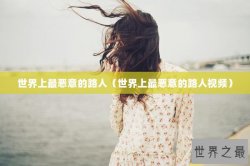 世界上最恶意的路人（世界上最恶意的路人视频）