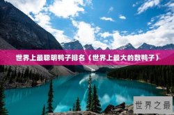 世界上最聪明鸭子排名（世界上最大的数鸭子）