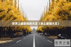 世界上最软弱的大王（史上最强大王）