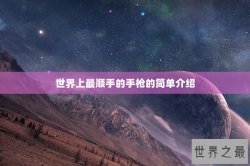 世界上最顺手的手枪的简单介绍