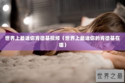 世界上最迷你肯德基视频（世界上最迷你的肯德基在哪）