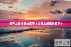 世界上最传奇的军事（世界上最强的军事）