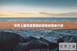 世界上最花里胡哨的球星的简单介绍