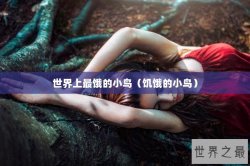 世界上最饿的小鸟（饥饿的小鸟）