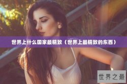世界上什么国家最精致（世界上最精致的东西）
