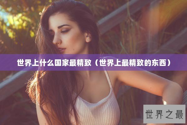 世界上什么国家最精致(世界上最精致的东西) 世界上什么国家最精致(世界上最精致的东西)