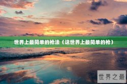 世界上最简单的枪法（这世界上最简单的枪）