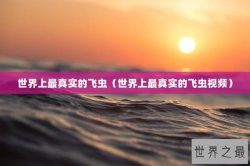 世界上最真实的飞虫（世界上最真实的飞虫视频）