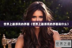 世界上最漂亮的界面（世界上最漂亮的界面是什么）