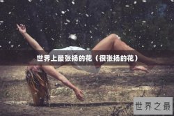 世界上最张扬的花（很张扬的花）