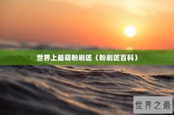 世界上最萌粉刷匠（粉刷匠百科）