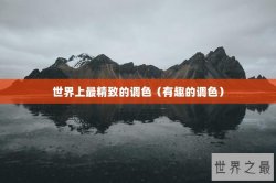 世界上最精致的调色（有趣的调色）
