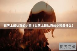世界上最认真的小狗（世界上最认真的小狗是什么）