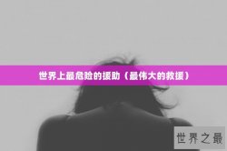 世界上最危险的援助（最伟大的救援）