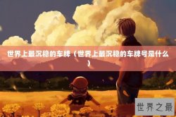 世界上最沉稳的车牌（世界上最沉稳的车牌号是什么）