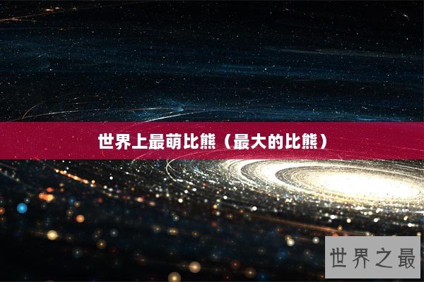 世界上最萌比熊（最大的比熊）