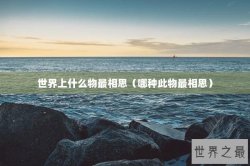 世界上什么物最相思（哪种此物最相思）