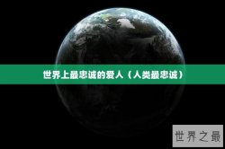 世界上最忠诚的爱人（人类最忠诚）