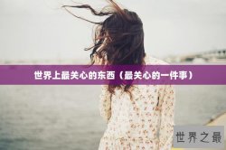 世界上最关心的东西（最关心的一件事）