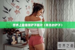 世界上最值钱铲子图片（有名的铲子）