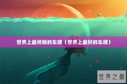 世界上最抢眼的车牌（世界上最好的车牌）
