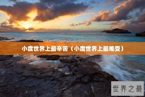 小度世界上最辛苦（小度世界上最难受）