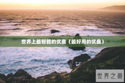 世界上最智能的优盘（最好用的优盘）