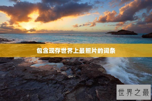 包含现存世界上最照片的词条