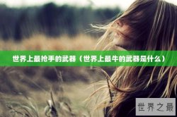 世界上最抢手的武器（世界上最牛的武器是什么）