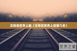 王姓是世界上最（王姓在世界上排第几名）