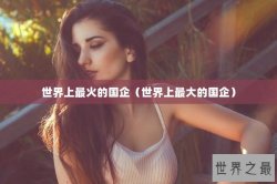 世界上最火的国企（世界上最大的国企）