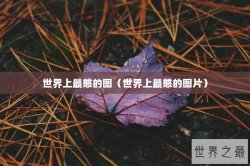 世界上最憨的图（世界上最憨的图片）