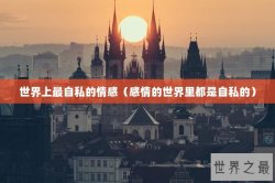 世界上最自私的情感（感情的世界里都是自私的）