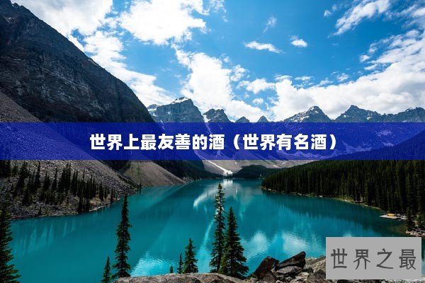 世界上最友善的酒（世界有名酒）