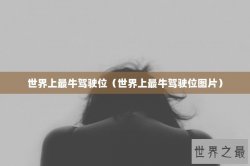 世界上最牛驾驶位（世界上最牛驾驶位图片）