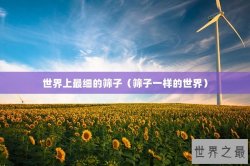世界上最细的筛子（筛子一样的世界）