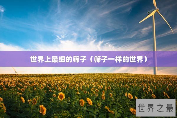 世界上最细的筛子（筛子一样的世界）