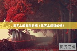世界上最复杂的根（世界上最粗的根）