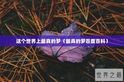 这个世界上最真的梦（最真的梦百度百科）