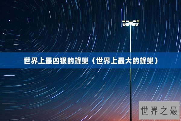 世界上最凶狠的蜂巢(世界上最大的蜂巢) 世界上最凶狠的蜂巢(世界上最大的蜂巢)