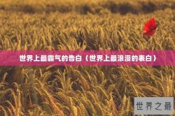 世界上最霸气的告白（世界上最浪漫的表白）