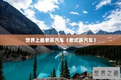 世界上最老蒸汽车（老式蒸汽车）