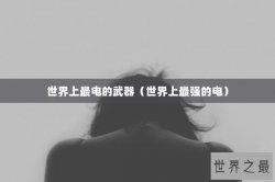 世界上最电的武器（世界上最强的电）