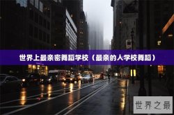 世界上最亲密舞蹈学校（最亲的人学校舞蹈）