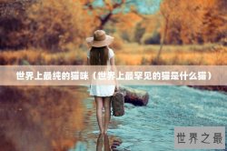 世界上最纯的猫咪（世界上最罕见的猫是什么猫）